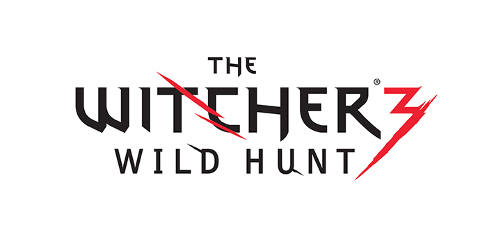 Epic Year for The Witcher